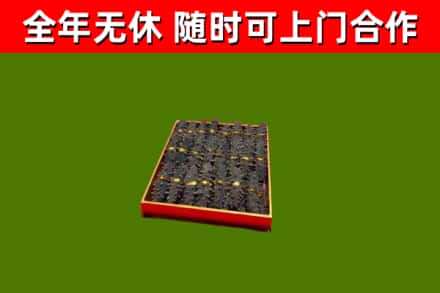 新田县回收海参